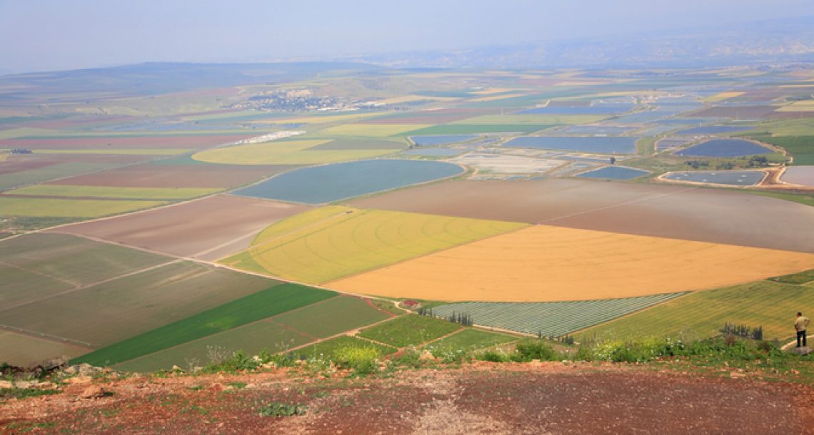 שיטות להרחקת עטלפים – מה באמת עובד?